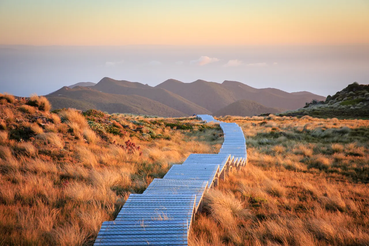 Hump Ridge Track - Southland, New Zealand - Credit Liz Carlson (116)