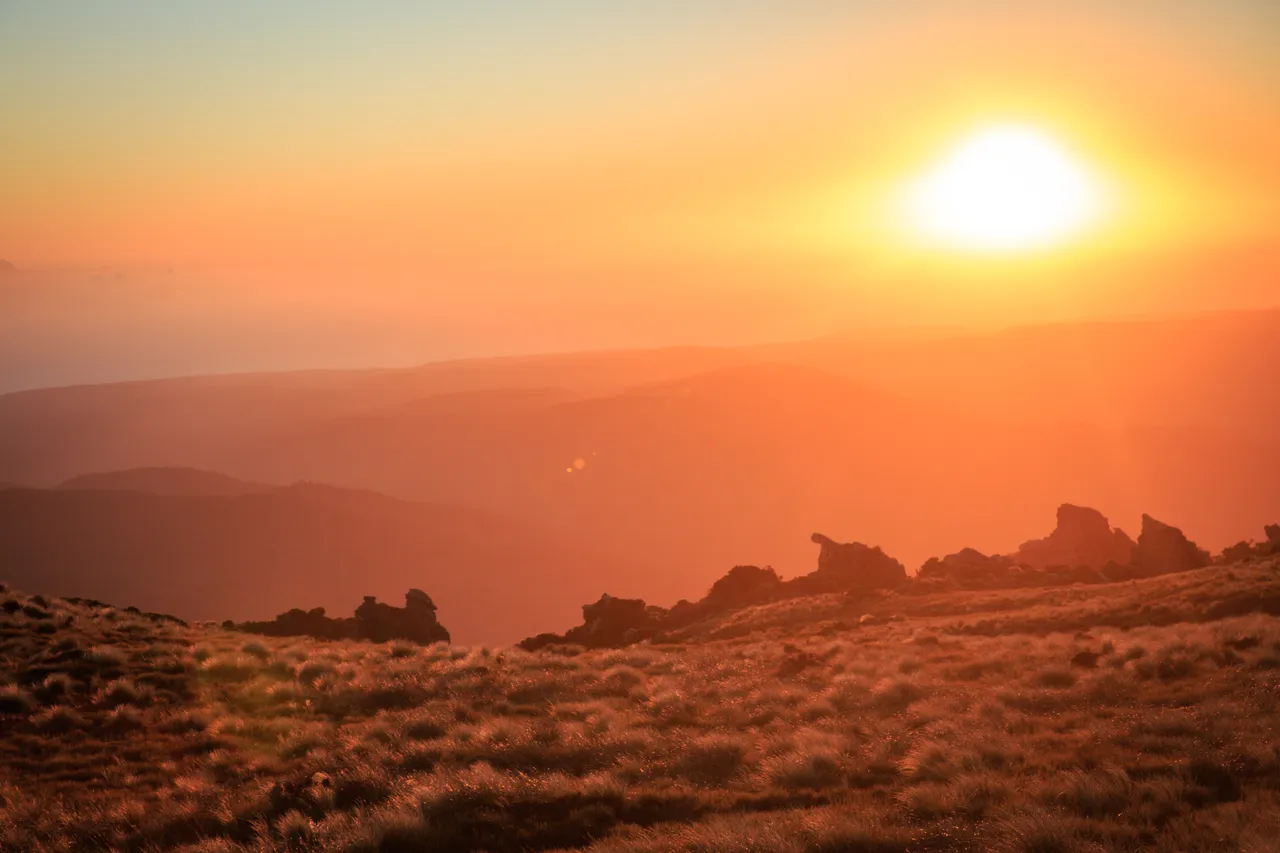 Hump Ridge Track - Southland, New Zealand - Credit Liz Carlson (118)