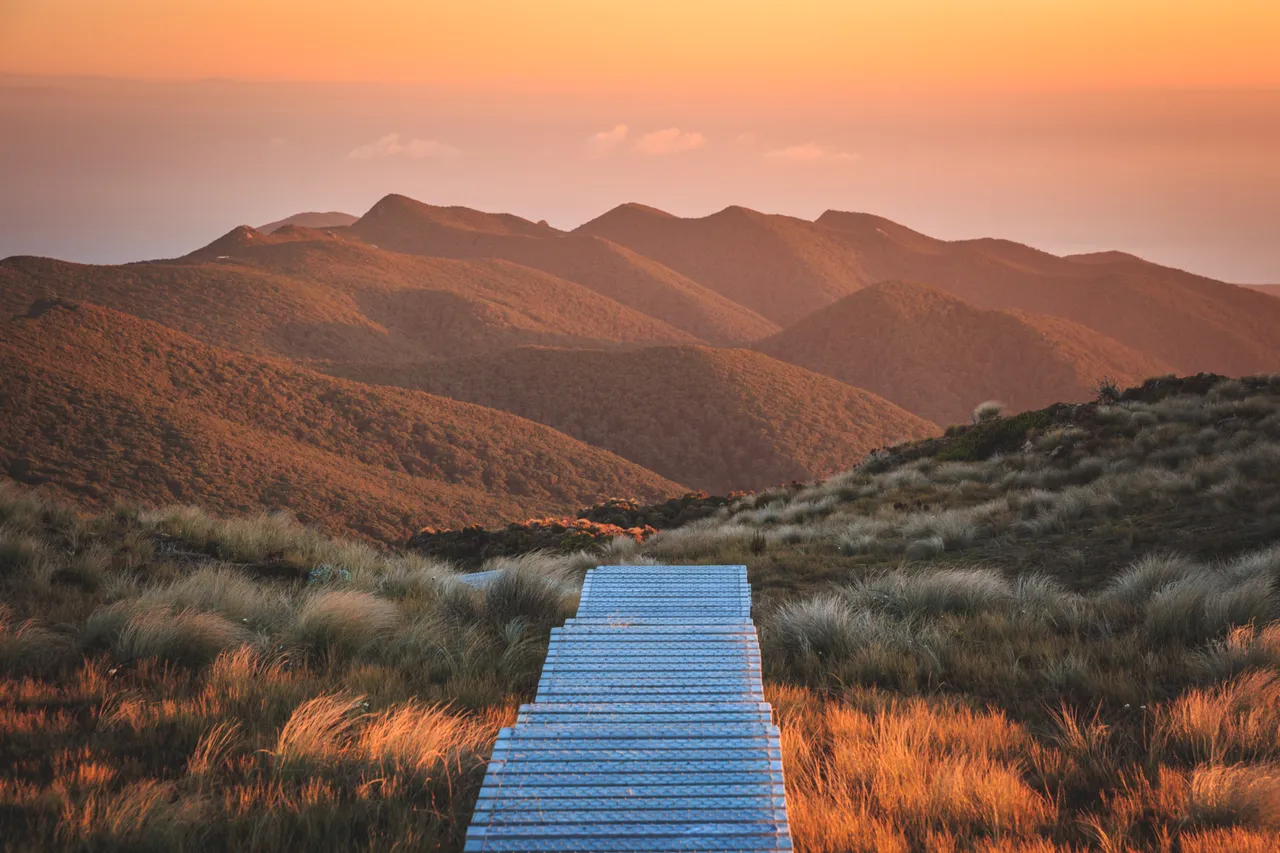 Hump Ridge Track - Southland, New Zealand - Credit Liz Carlson (114)