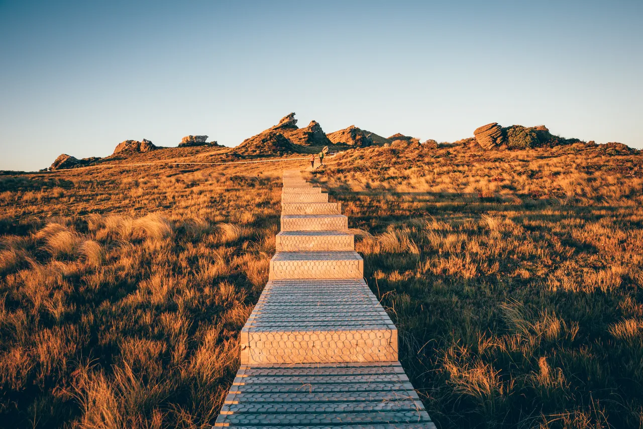 Hump Ridge Track - Southland, New Zealand - Credit Liz Carlson (113)
