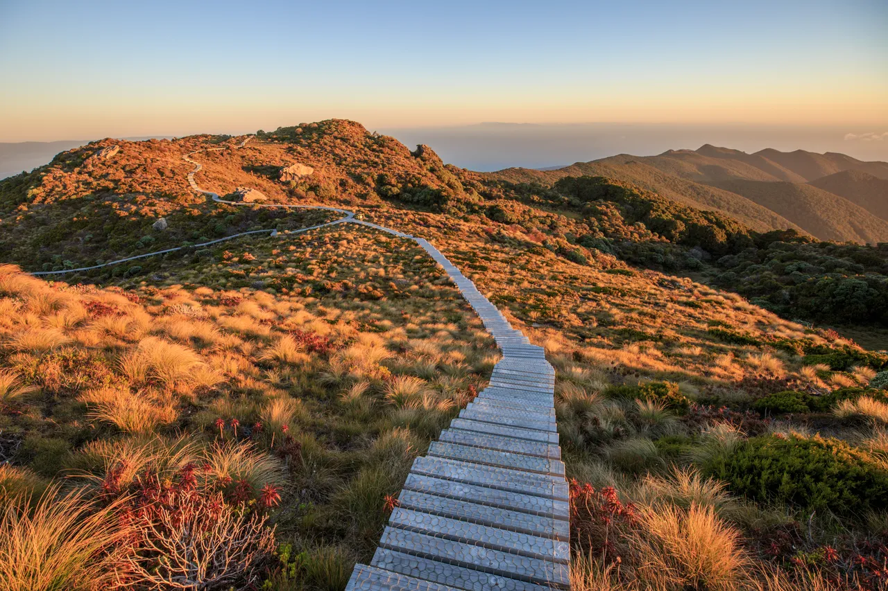 Hump Ridge Track - Southland, New Zealand - Credit Liz Carlson (106)