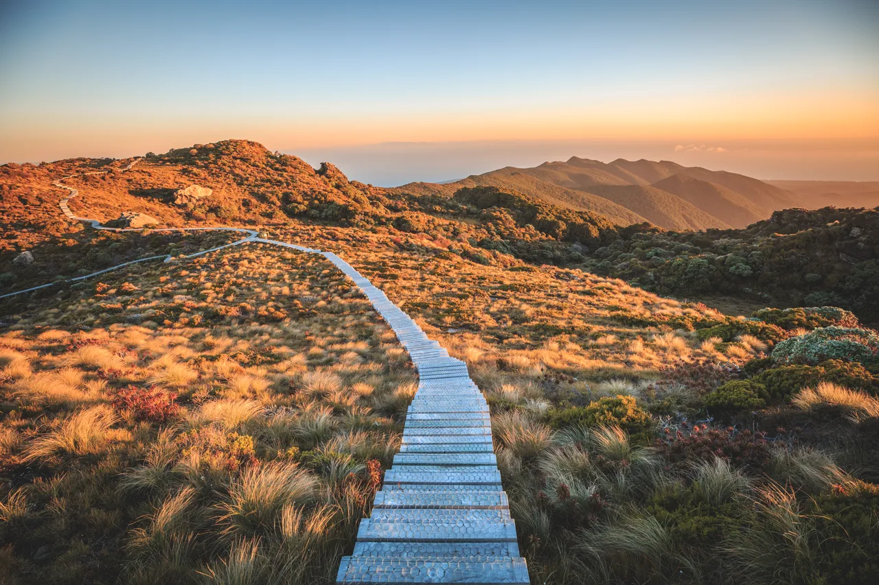 Hump Ridge Track - Southland, New Zealand - Credit Liz Carlson (107)