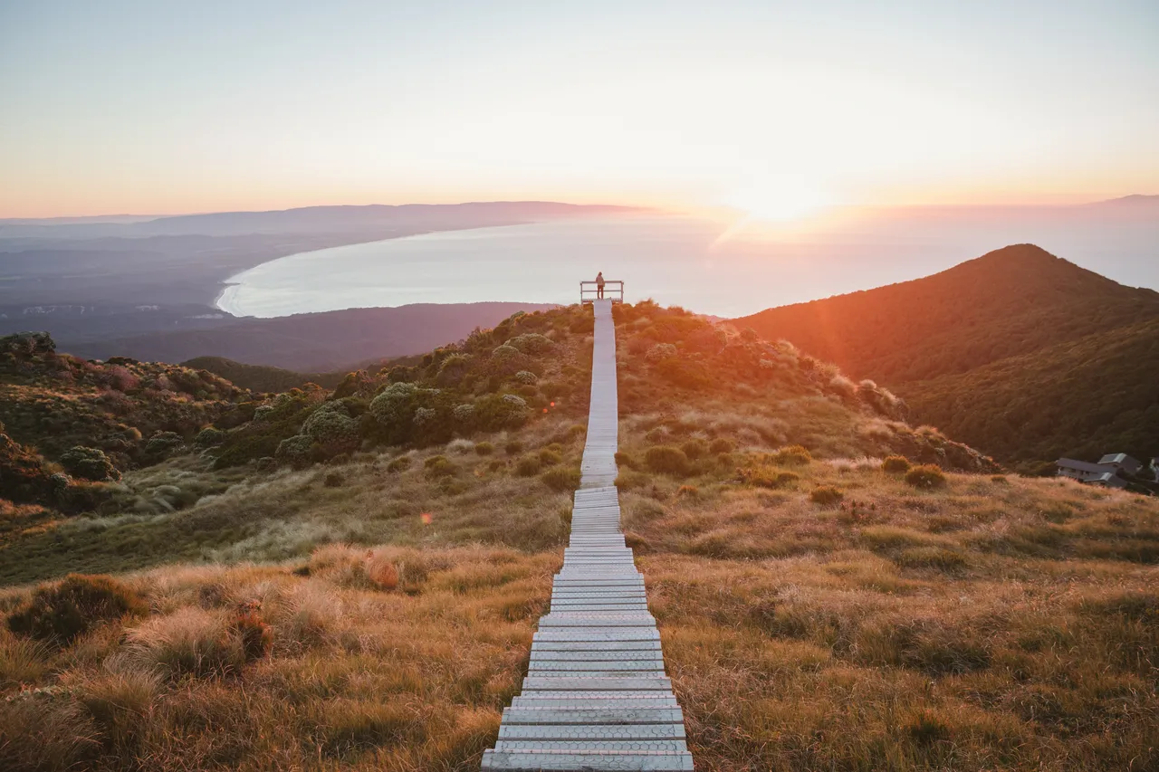 Hump Ridge Track - Southland, New Zealand - Credit Liz Carlson (143)