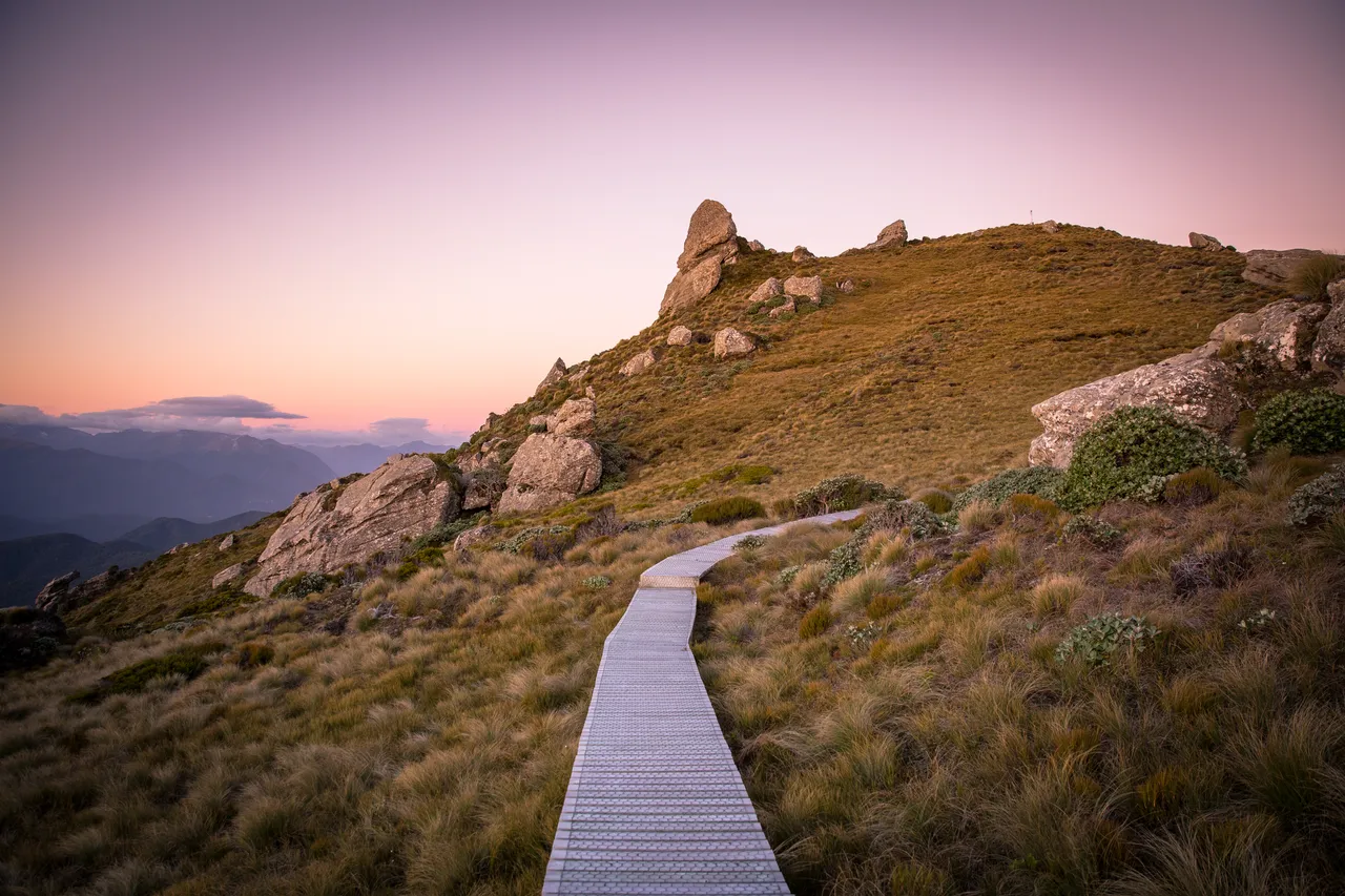 Hump Ridge Track - Southland, New Zealand - Credit Liz Carlson (127)