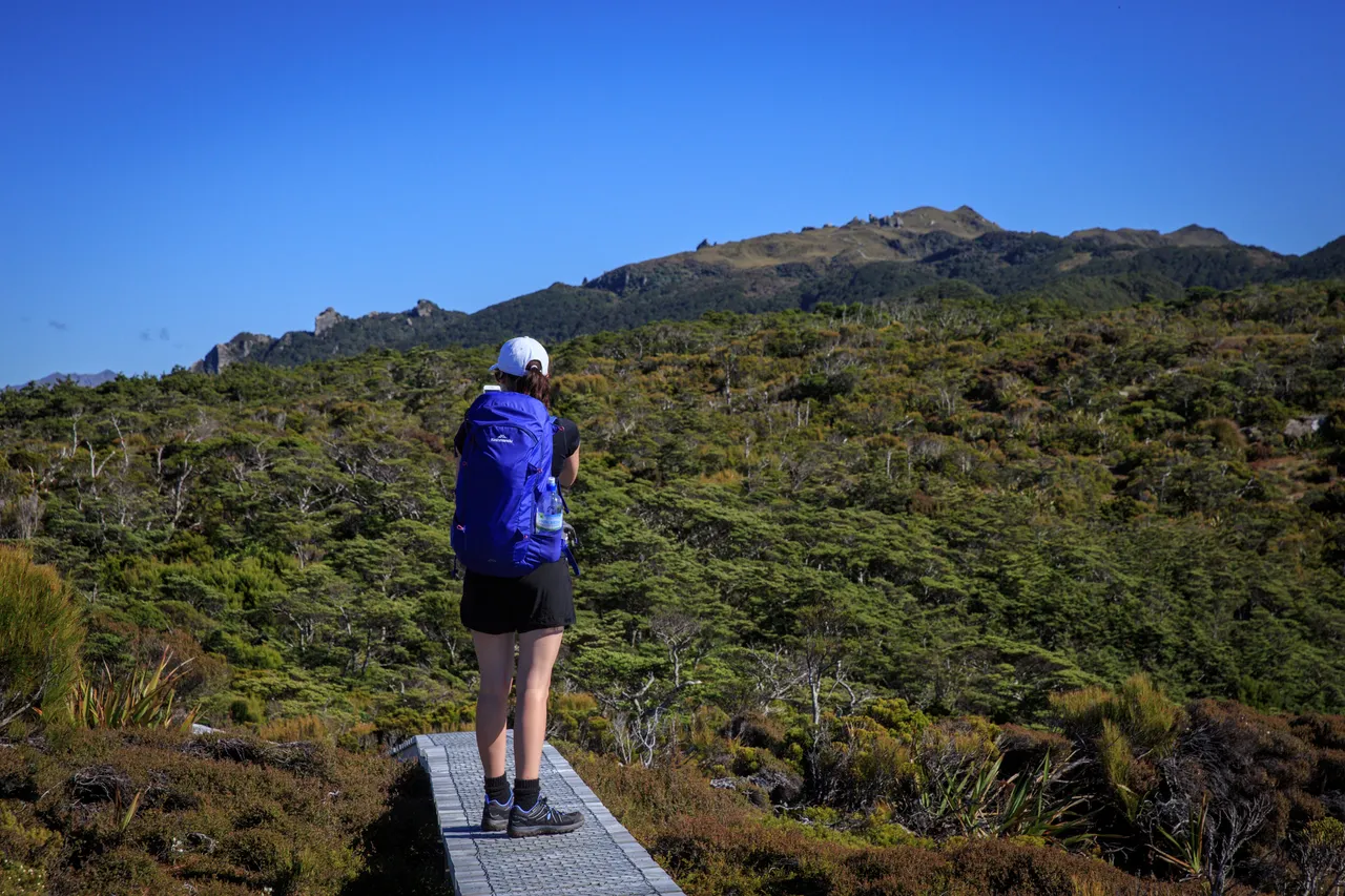 Hump Ridge Track - Southland, New Zealand - Credit Liz Carlson (174)