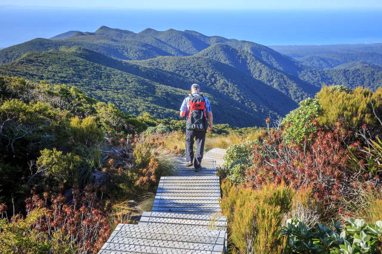 Hump Ridge Track - Southland, New Zealand - Credit Liz Carlson (171)