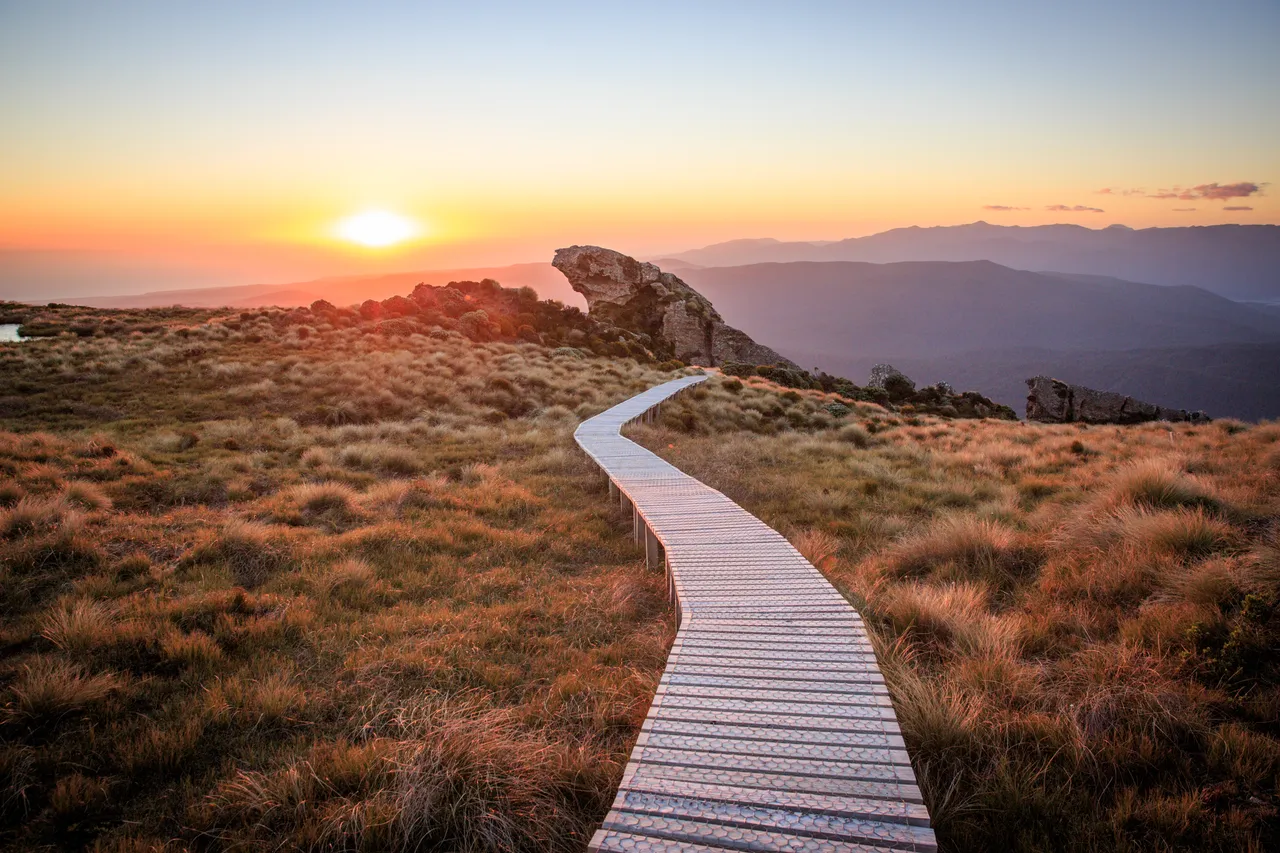 Hump Ridge Track - Southland, New Zealand - Credit Liz Carlson (124)