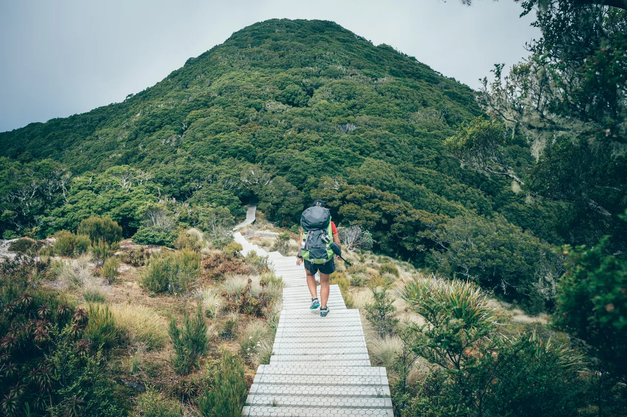 Hump Ridge Track - Southland, New Zealand - Credit Liz Carlson (76)