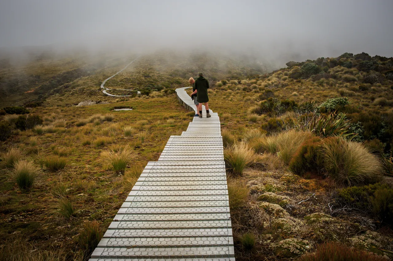 Hump Ridge Track - Southland, New Zealand - Credit Liz Carlson (85)
