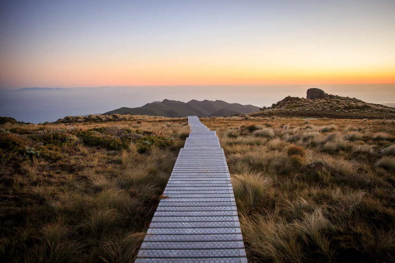 Hump Ridge Track - Southland, New Zealand - Credit Liz Carlson (133)