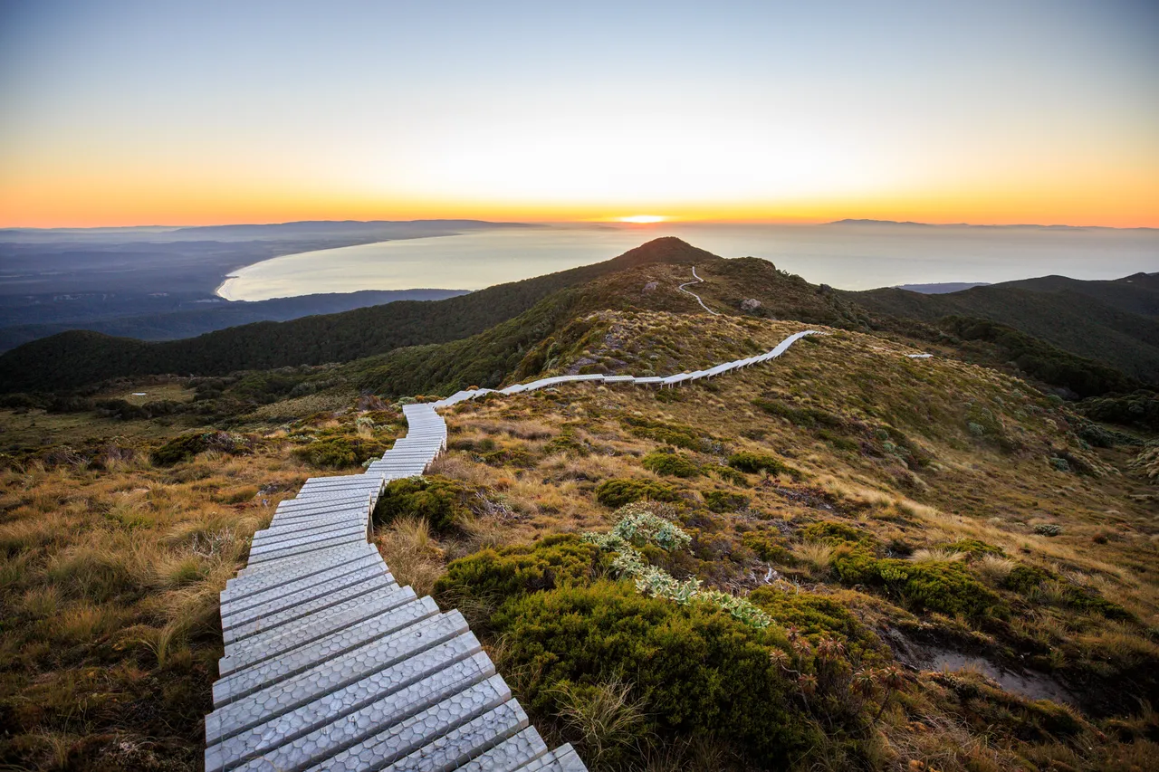Hump Ridge Track - Southland, New Zealand - Credit Liz Carlson (138)