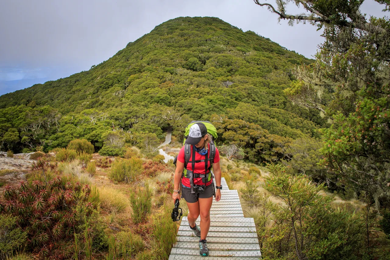 Hump Ridge Track - Southland, New Zealand - Credit Liz Carlson (75)