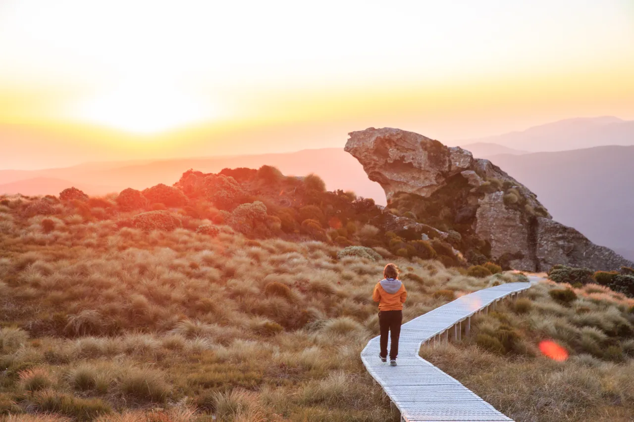 Hump Ridge Track - Southland, New Zealand - Credit Liz Carlson (126)