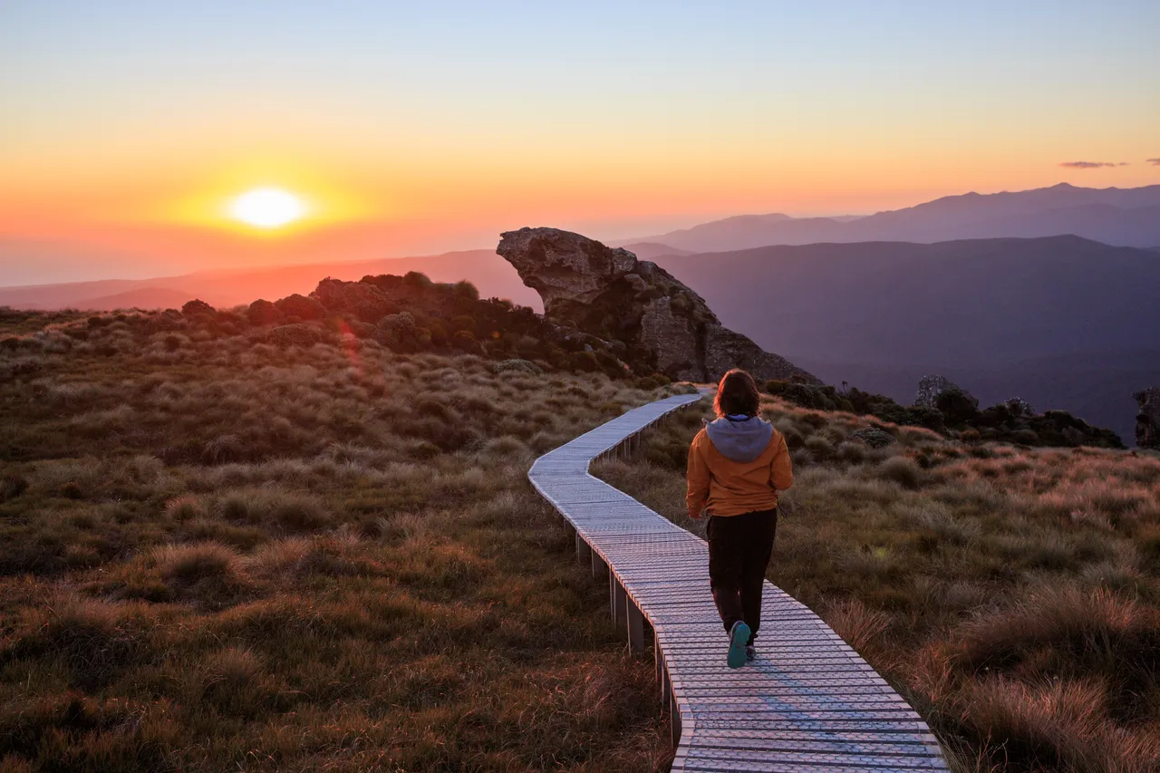 Hump Ridge Track - Southland, New Zealand - Credit Liz Carlson (125)