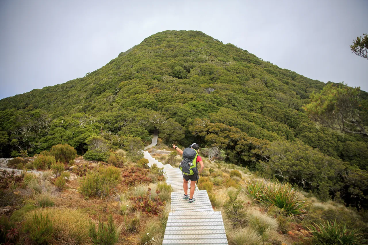 Hump Ridge Track - Southland, New Zealand - Credit Liz Carlson (77)