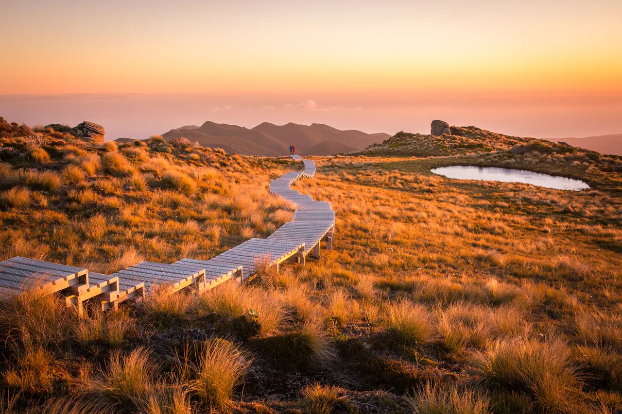 Hump Ridge Track - Southland, New Zealand - Credit Liz Carlson (117)