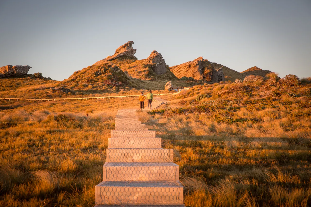 Hump Ridge Track - Southland, New Zealand - Credit Liz Carlson (112)
