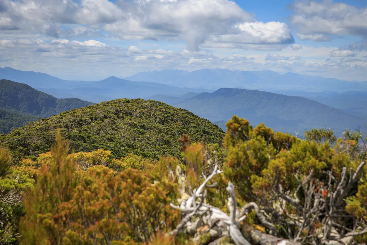 Hump Ridge Track - Southland, New Zealand - Credit Liz Carlson (59)