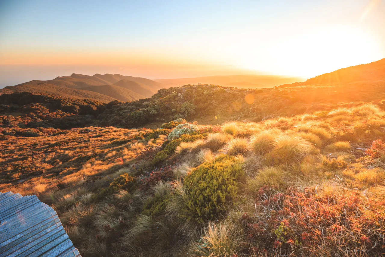 Hump Ridge Track - Southland, New Zealand - Credit Liz Carlson (108)
