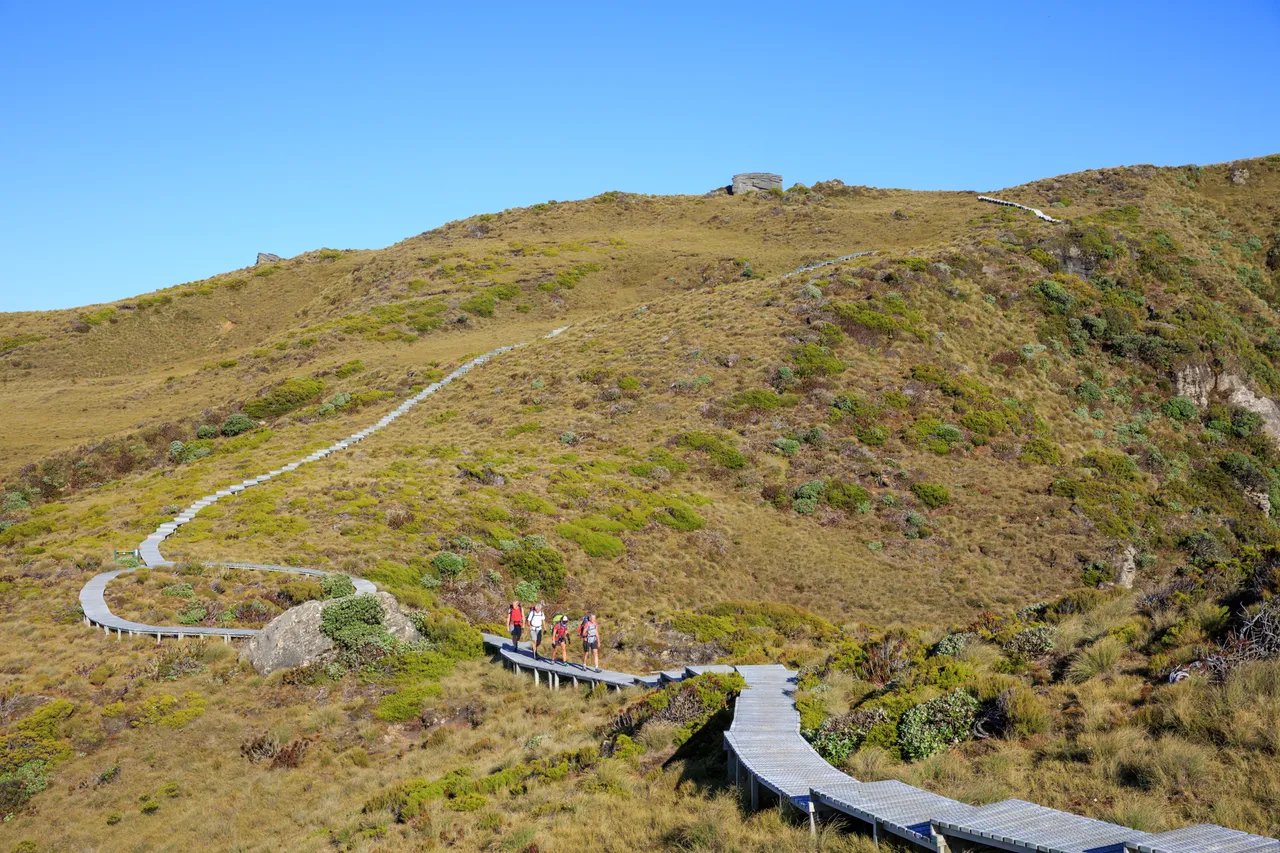 Hump Ridge Track - Southland, New Zealand - Credit Liz Carlson (170)