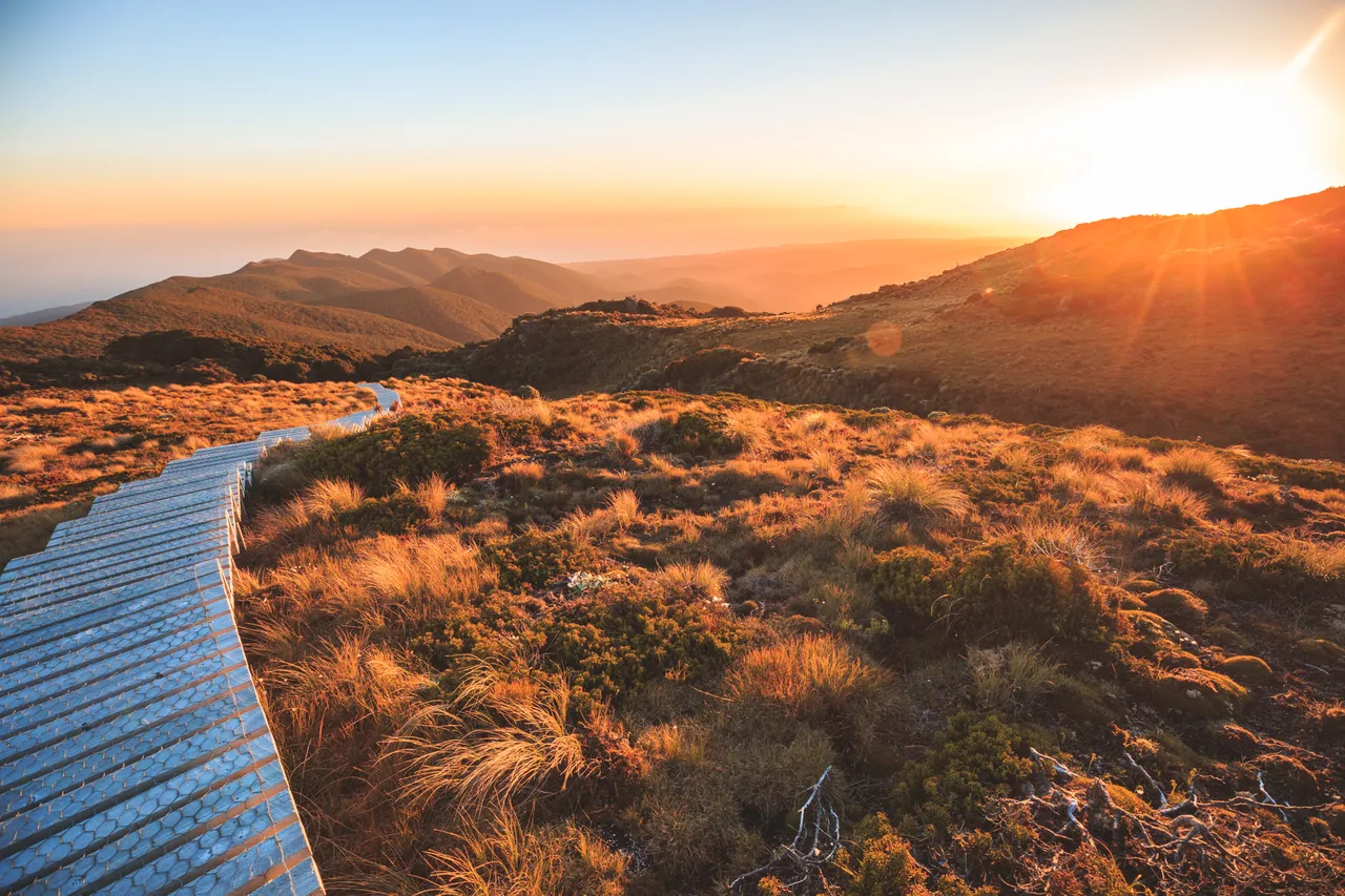 Hump Ridge Track - Southland, New Zealand - Credit Liz Carlson (109)