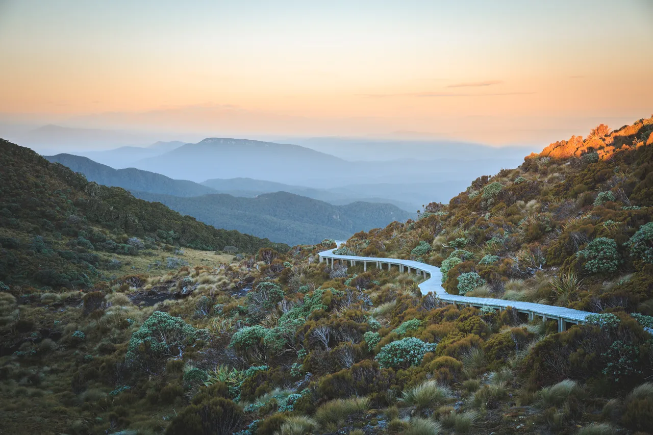Hump Ridge Track - Southland, New Zealand - Credit Liz Carlson (104)