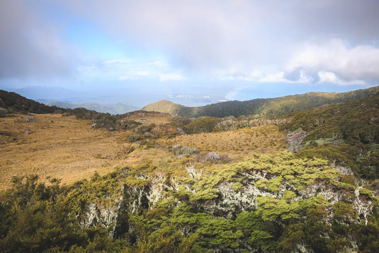 Hump Ridge Track - Southland, New Zealand - Credit Liz Carlson (96)