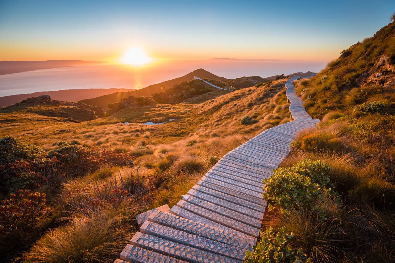 Hump Ridge Track - Southland, New Zealand - Credit Liz Carlson (153)
