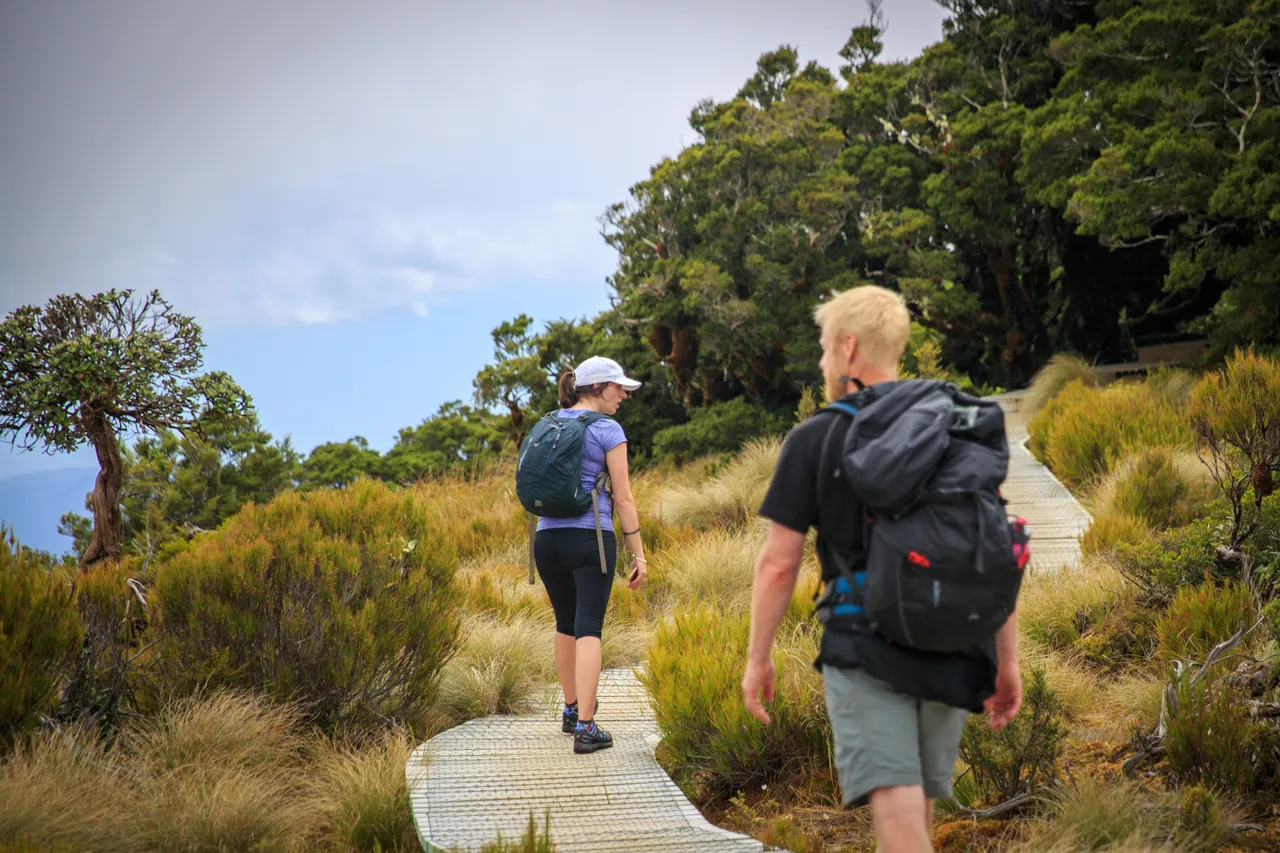Hump Ridge Track - Southland, New Zealand - Credit Liz Carlson (79)