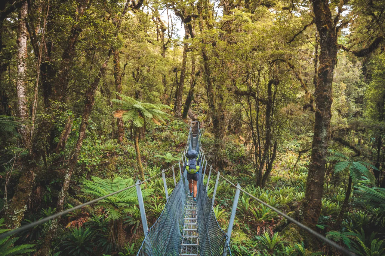 Hump Ridge Track - Southland, New Zealand - Credit Liz Carlson (36)