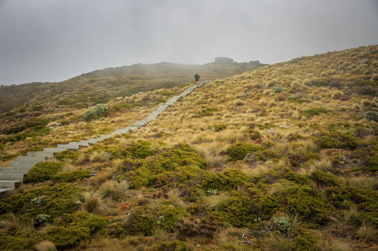 Hump Ridge Track - Southland, New Zealand - Credit Liz Carlson (86)