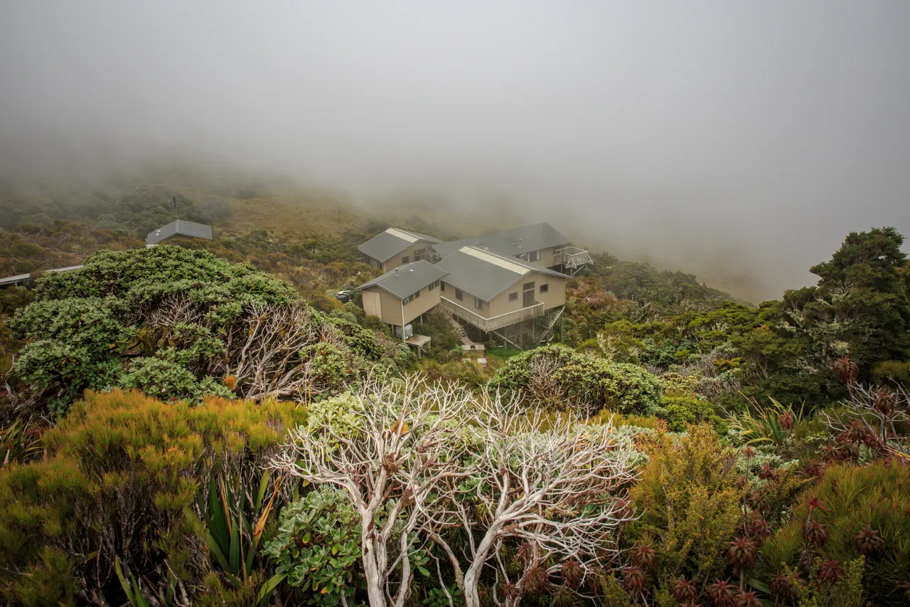Hump Ridge Track - Southland, New Zealand - Credit Liz Carlson (90)