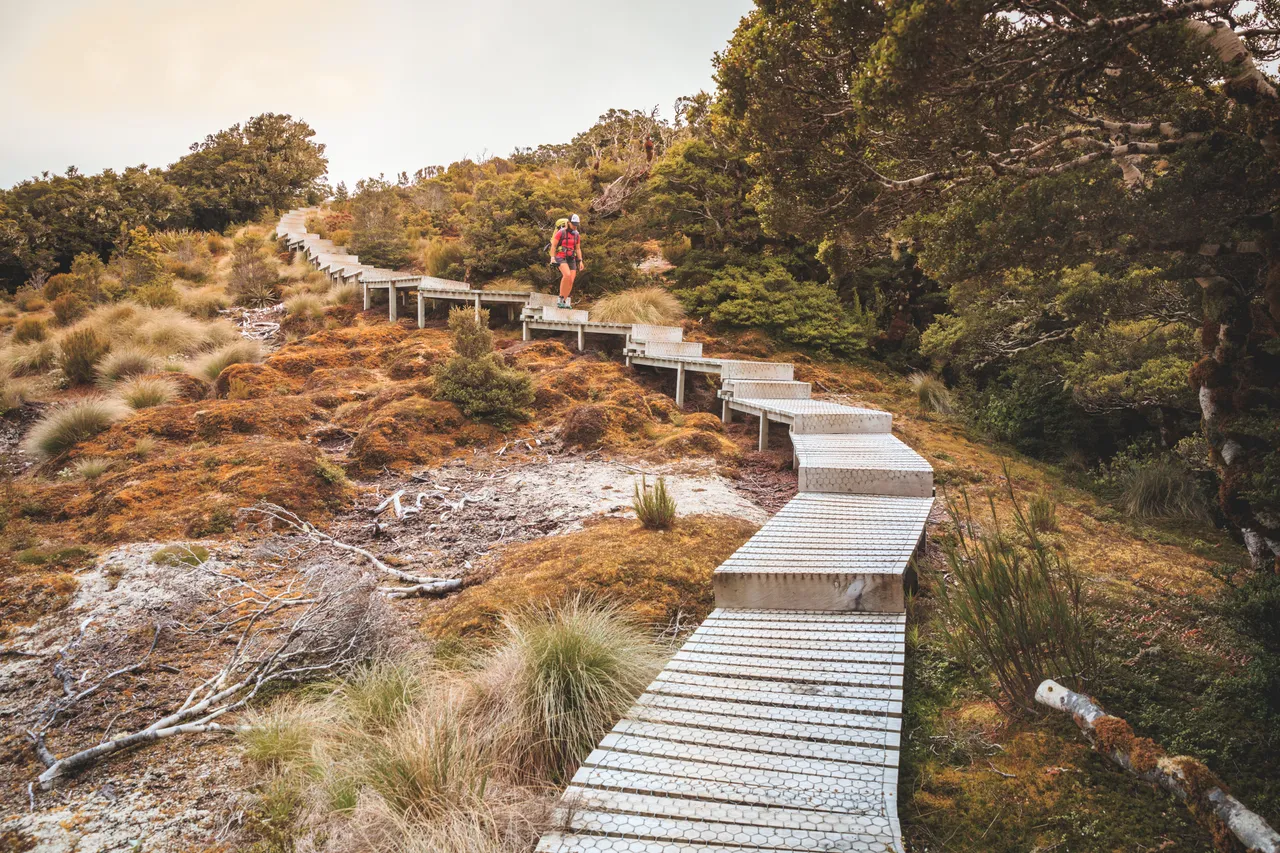 Hump Ridge Track - Southland, New Zealand - Credit Liz Carlson (74)