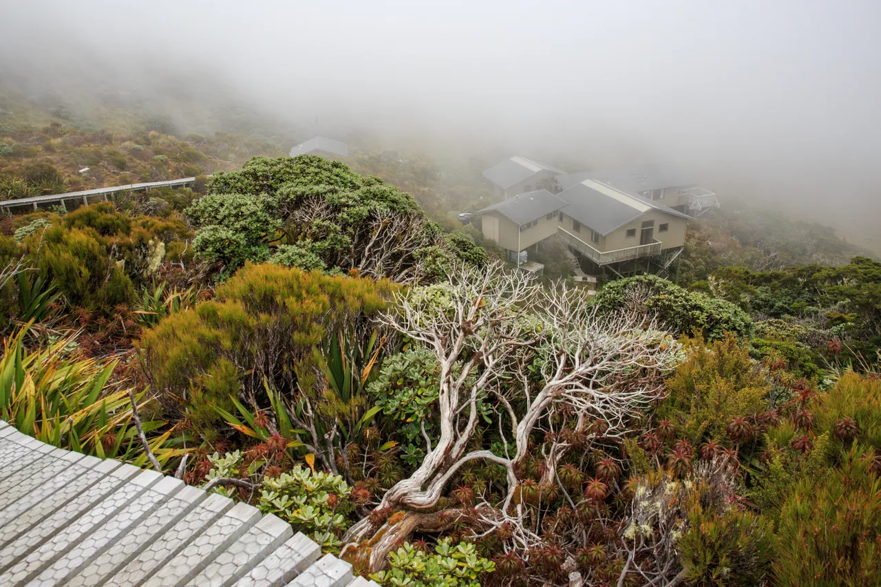 Hump Ridge Track - Southland, New Zealand - Credit Liz Carlson (89)