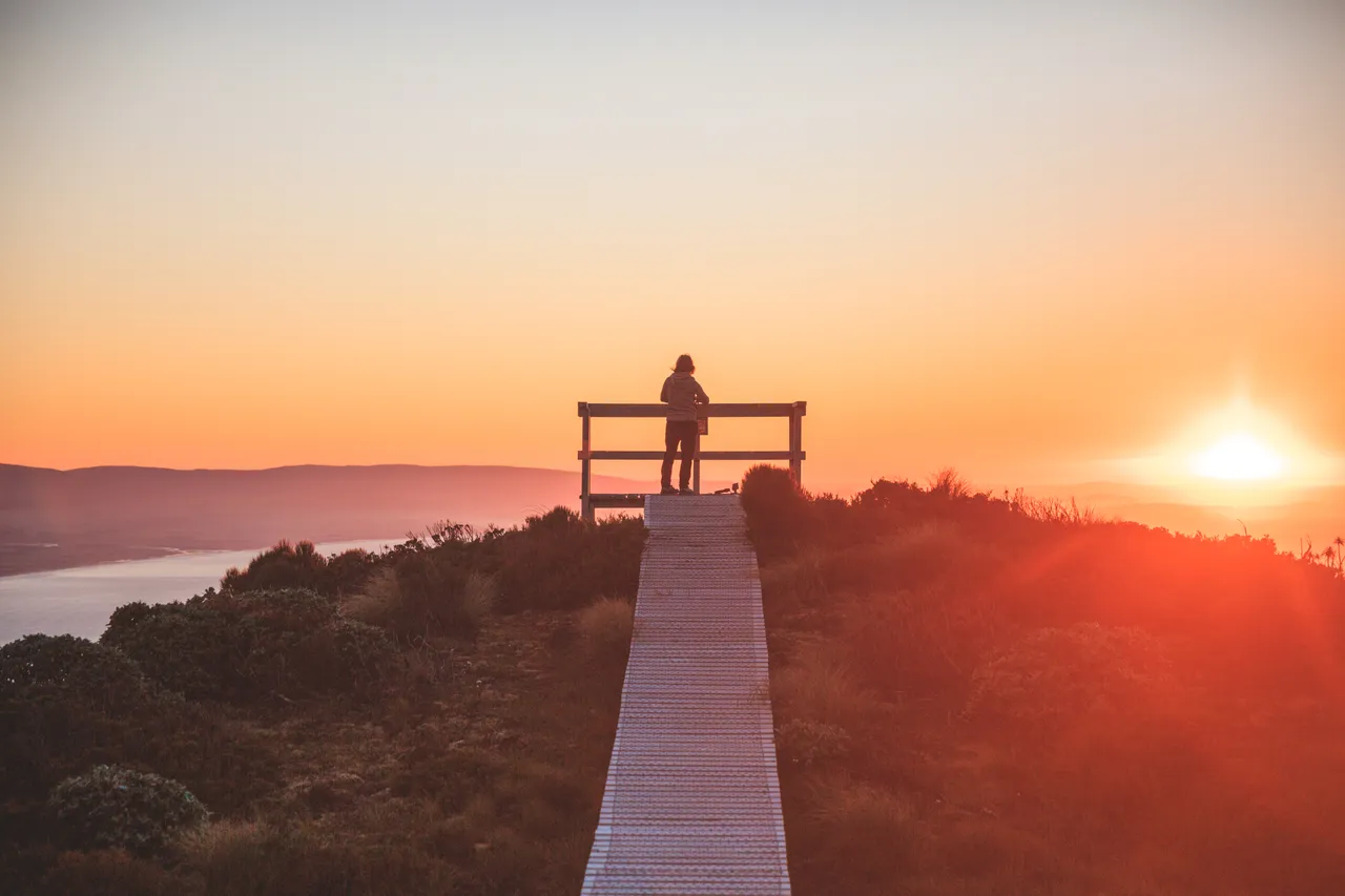 Hump Ridge Track - Southland, New Zealand - Credit Liz Carlson (146)