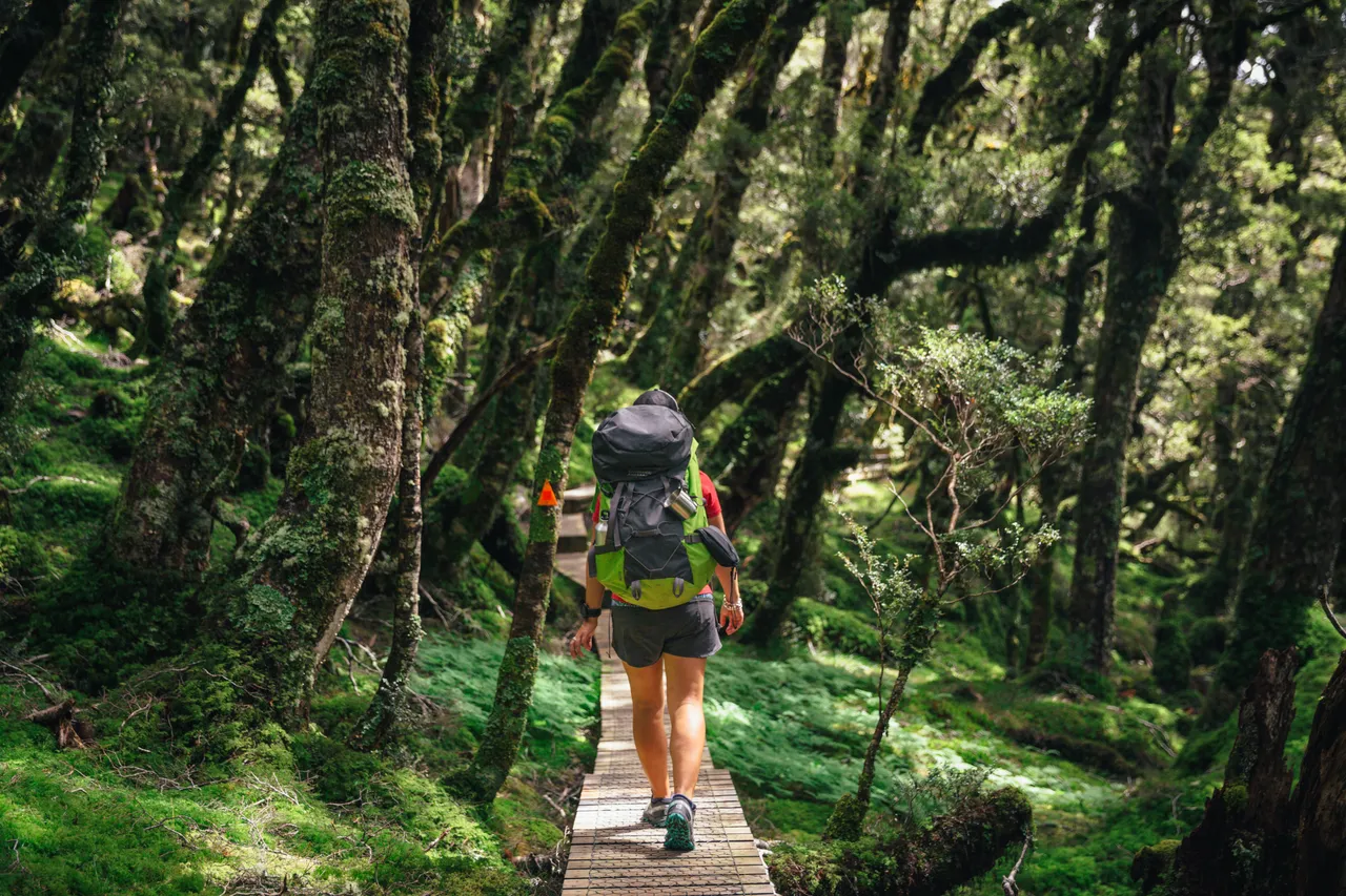 Hump Ridge Track - Southland, New Zealand - Credit Liz Carlson (68)