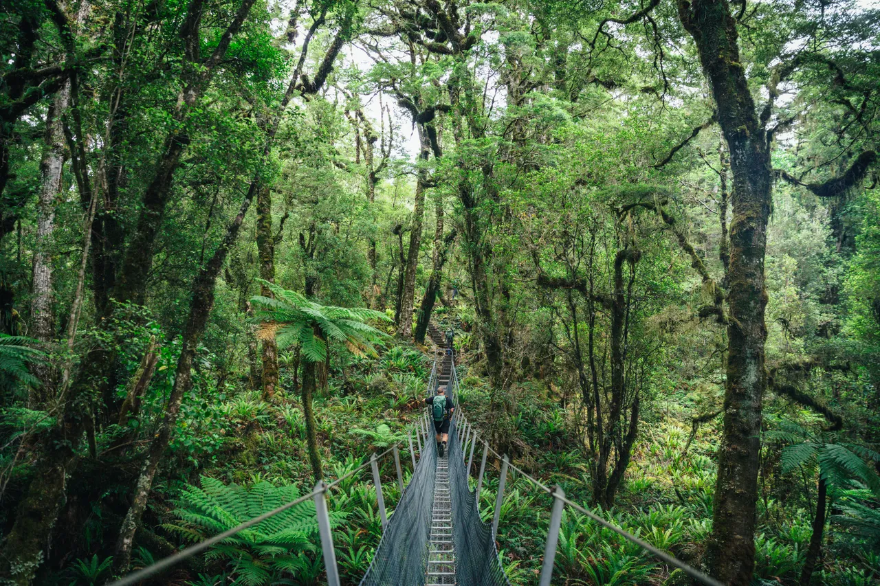 Hump Ridge Track - Southland, New Zealand - Credit Liz Carlson (32)