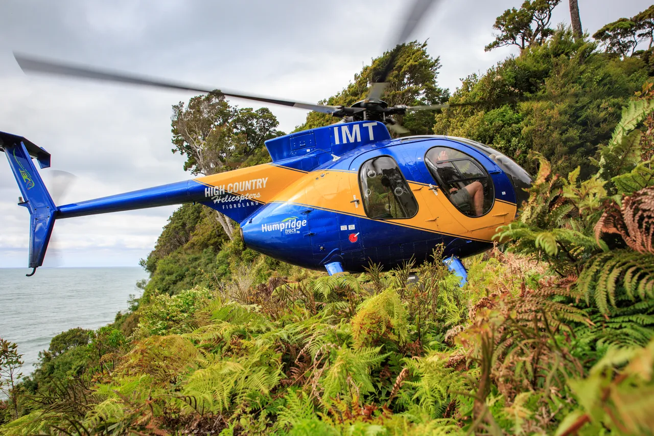 Hump Ridge Track - Southland, New Zealand - Credit Liz Carlson (15)