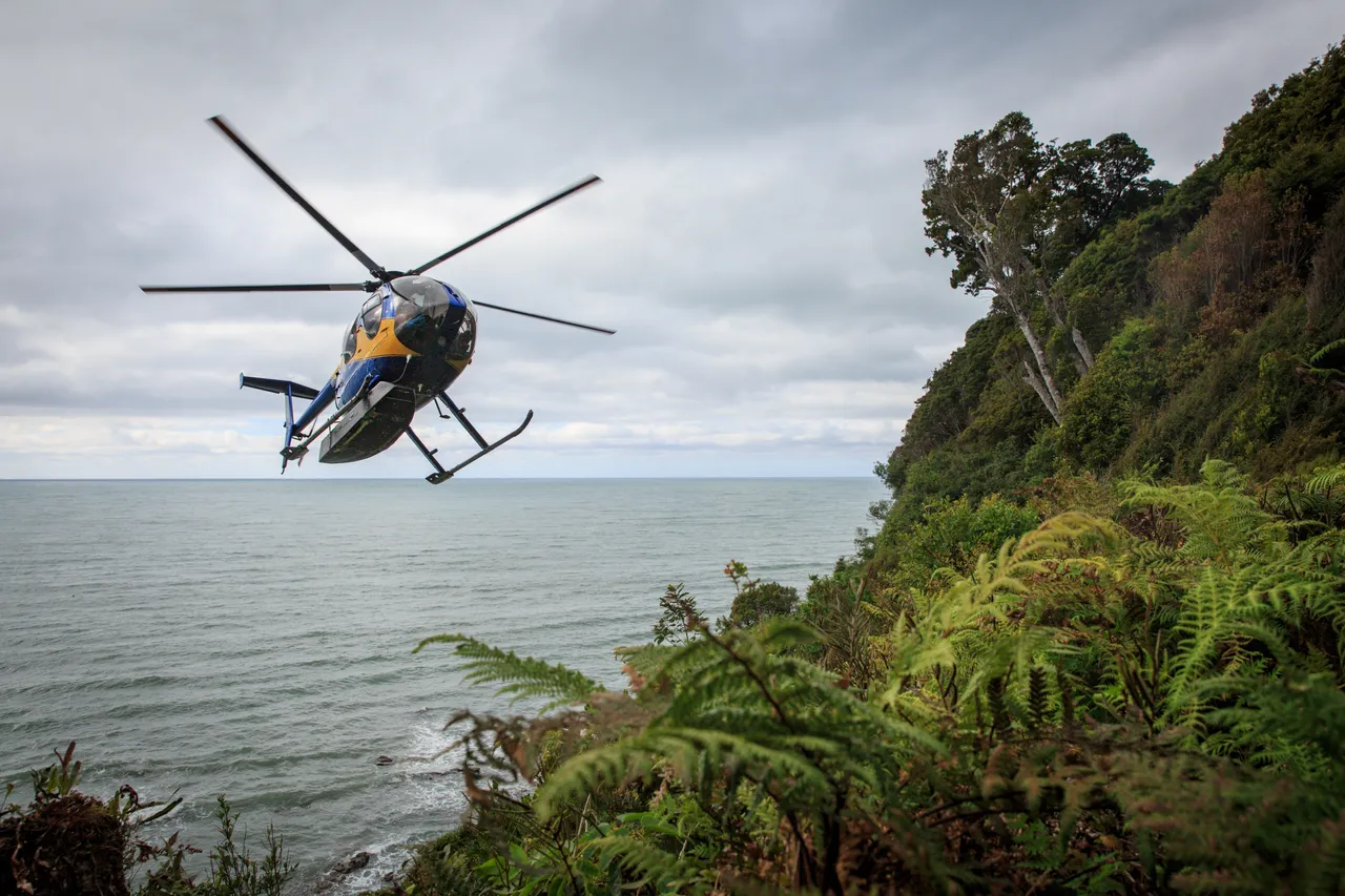 Hump Ridge Track - Southland, New Zealand - Credit Liz Carlson (14)
