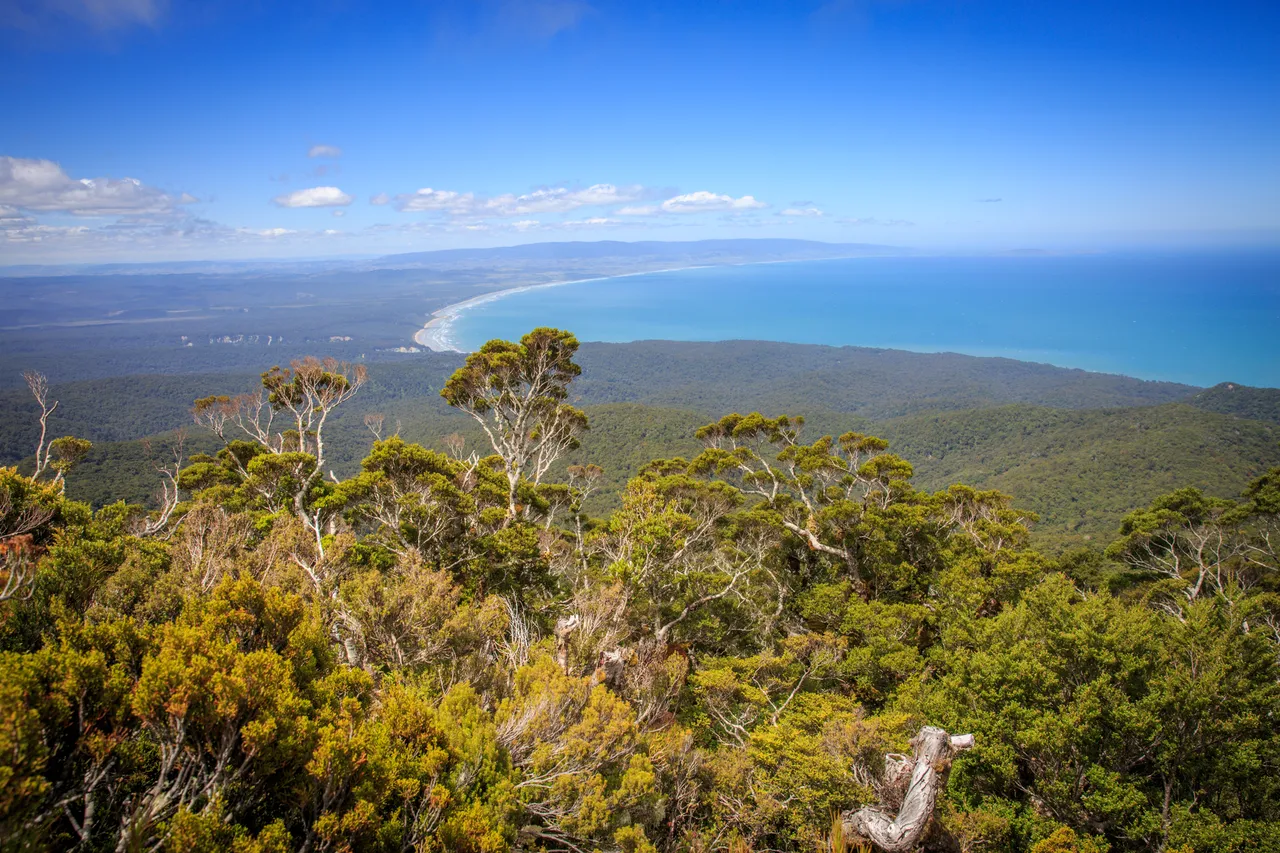 Hump Ridge Track - Southland, New Zealand - Credit Liz Carlson (60)