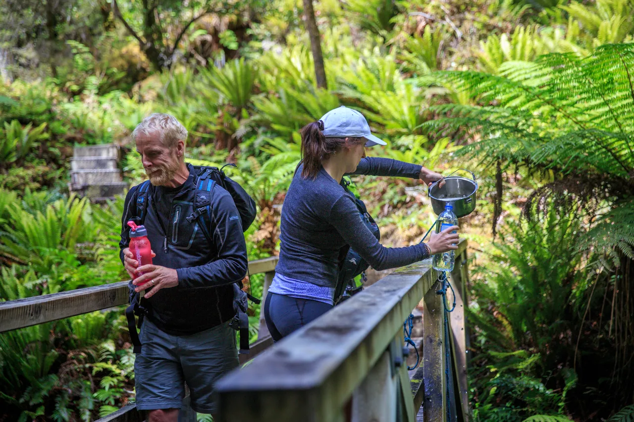 Hump Ridge Track - Southland, New Zealand - Credit Liz Carlson (44)
