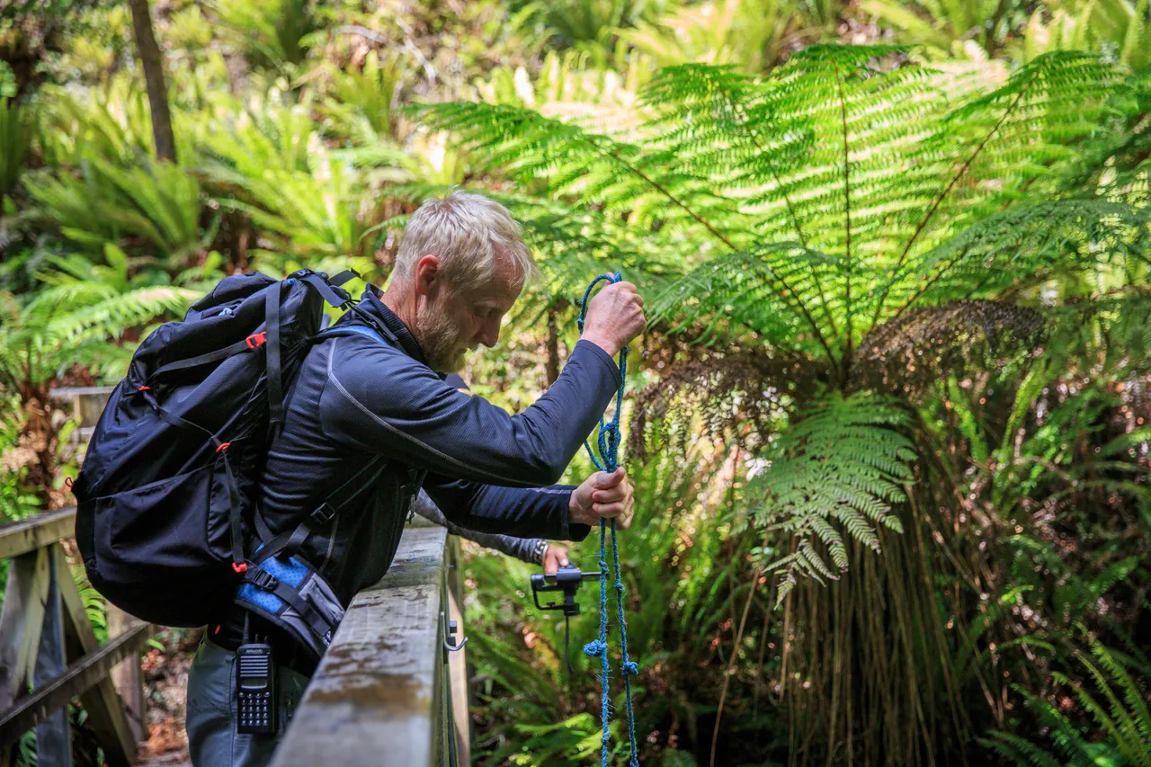 Hump Ridge Track - Southland, New Zealand - Credit Liz Carlson (43)