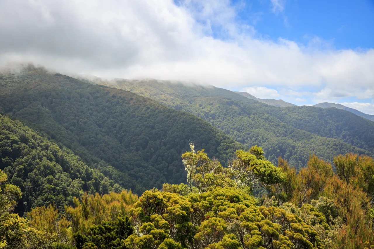 Hump Ridge Track - Southland, New Zealand - Credit Liz Carlson (58)
