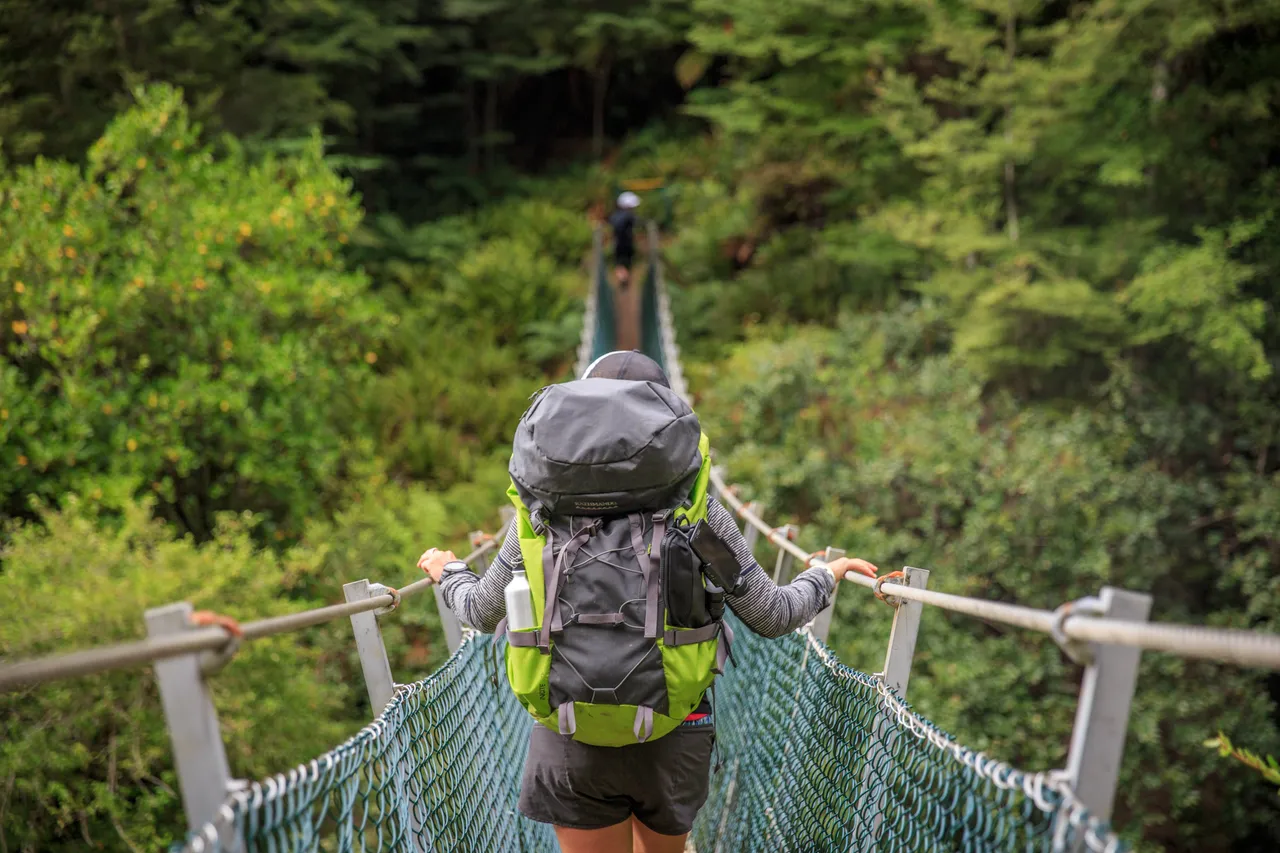 Hump Ridge Track - Southland, New Zealand - Credit Liz Carlson (21)
