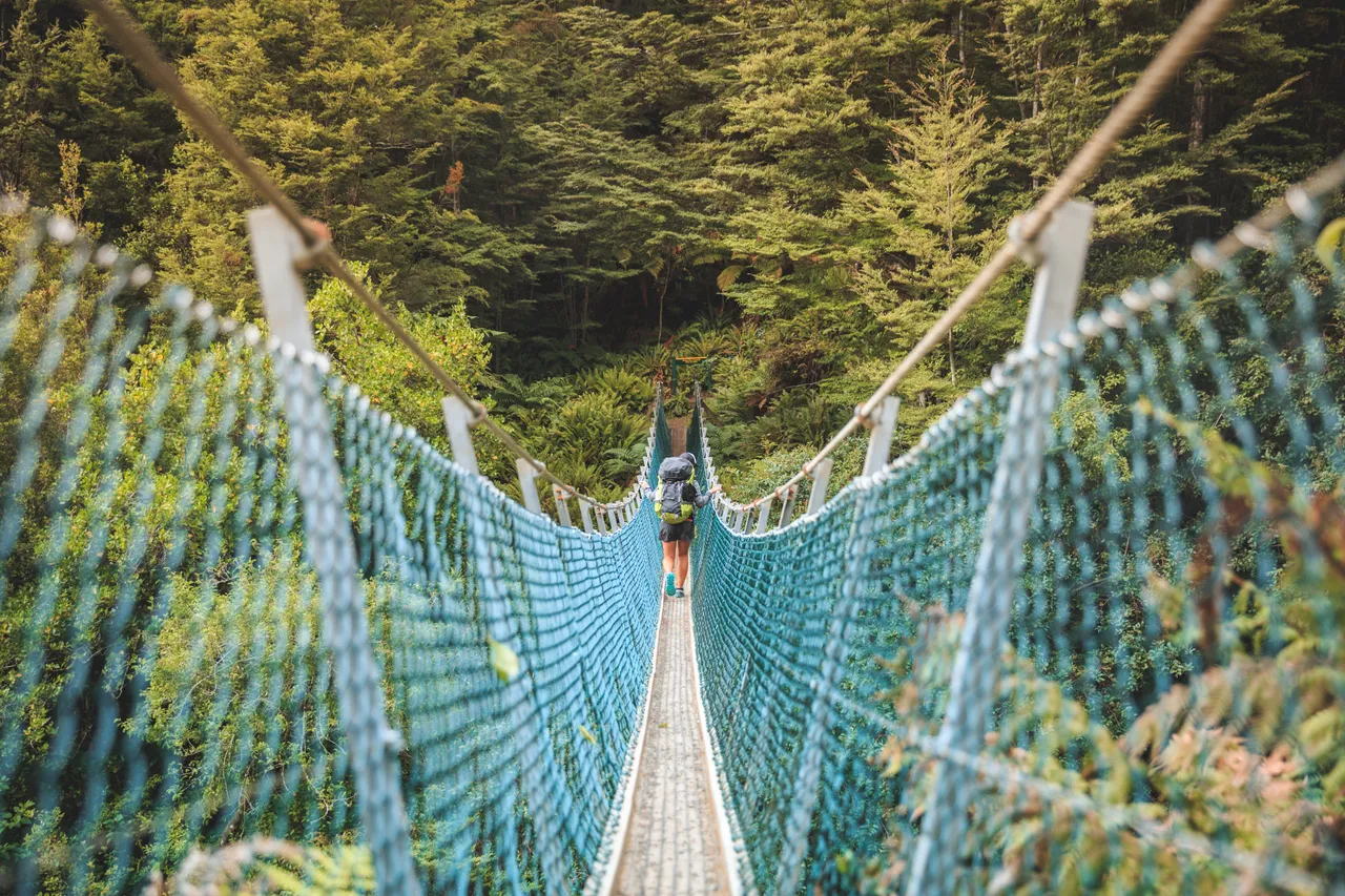 Hump Ridge Track - Southland, New Zealand - Credit Liz Carlson (25)