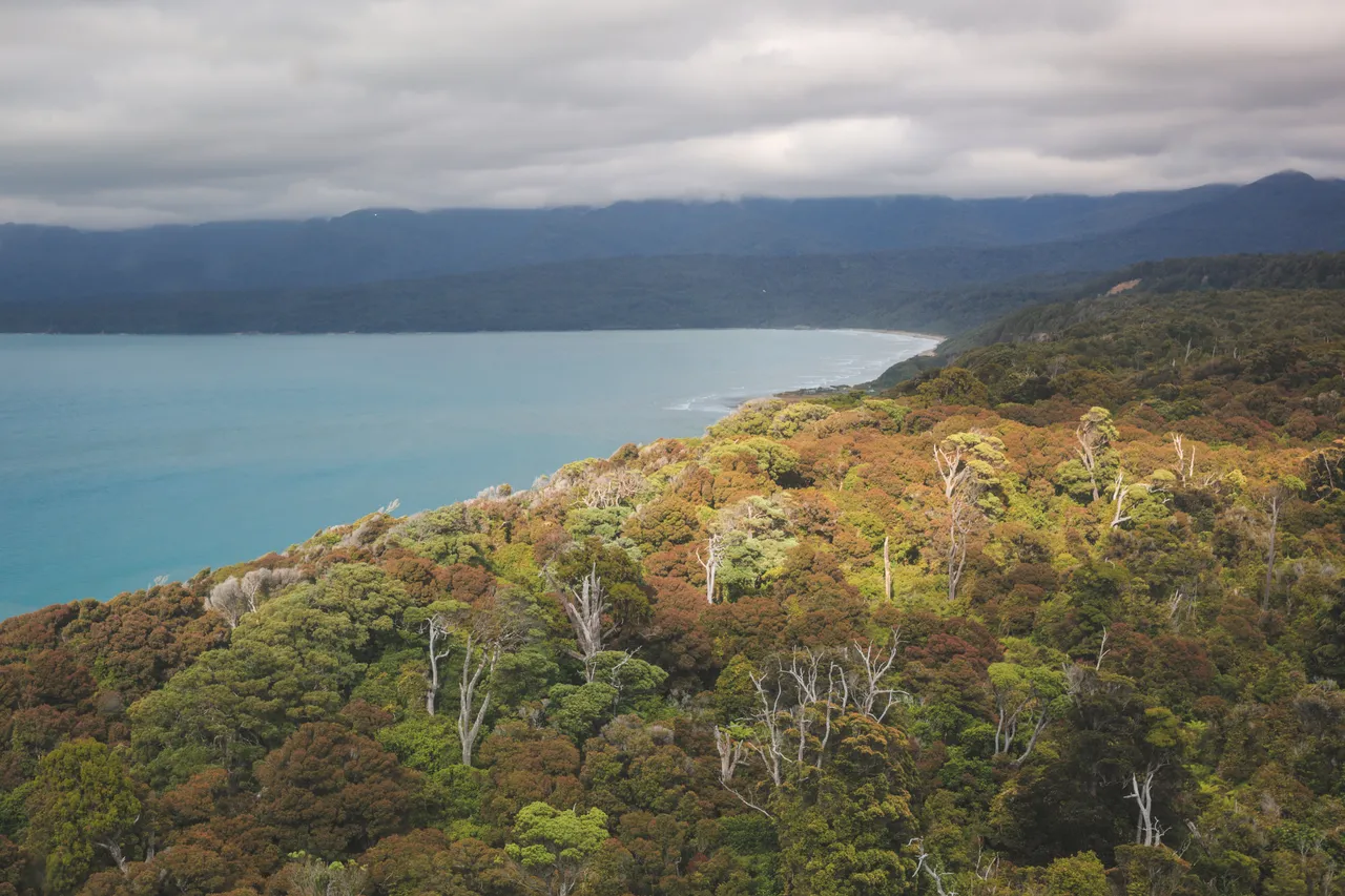 Hump Ridge Track - Southland, New Zealand - Credit Liz Carlson (3)