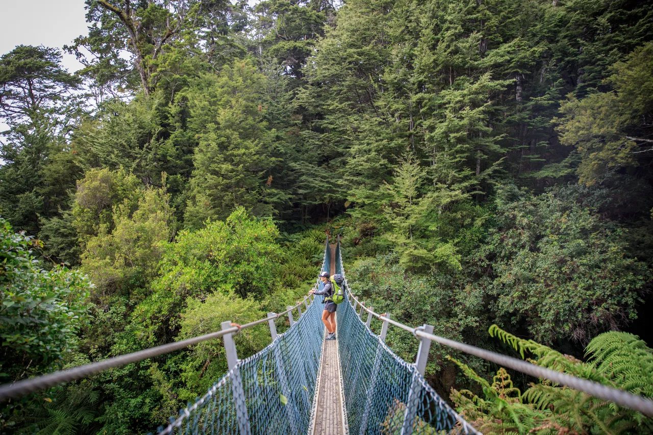 Hump Ridge Track - Southland, New Zealand - Credit Liz Carlson (22)