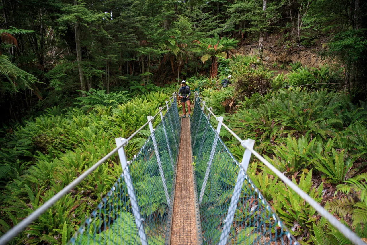 Hump Ridge Track - Southland, New Zealand - Credit Liz Carlson (27)