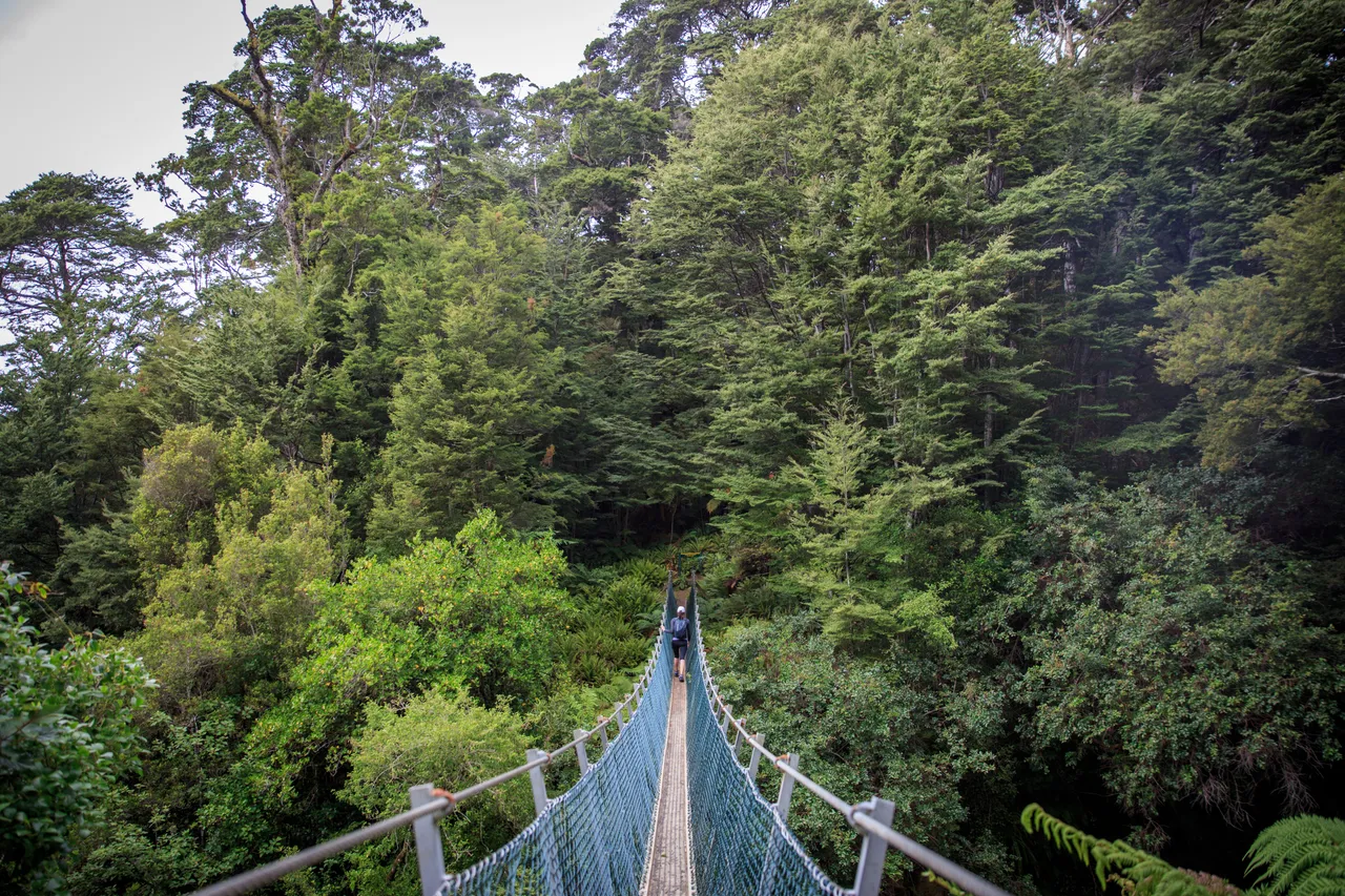 Hump Ridge Track - Southland, New Zealand - Credit Liz Carlson (20)