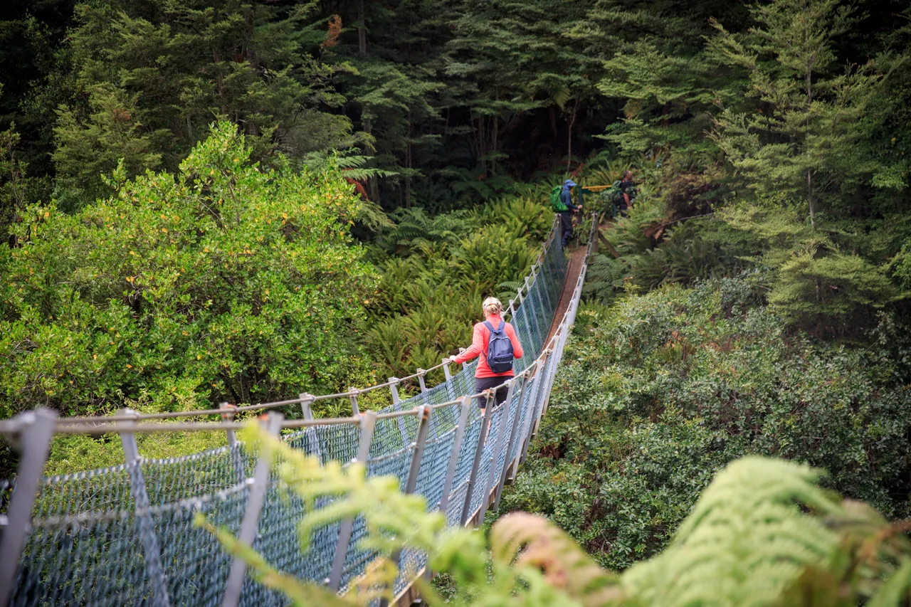Hump Ridge Track - Southland, New Zealand - Credit Liz Carlson (17)